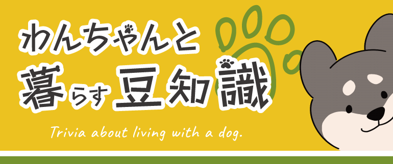 わんちゃんと暮らす豆知識