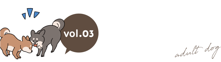 わんちゃん成犬期