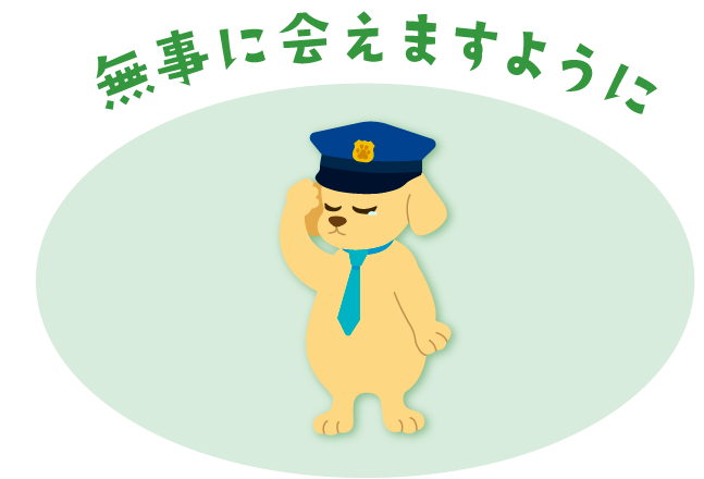 迷子のペット探してます