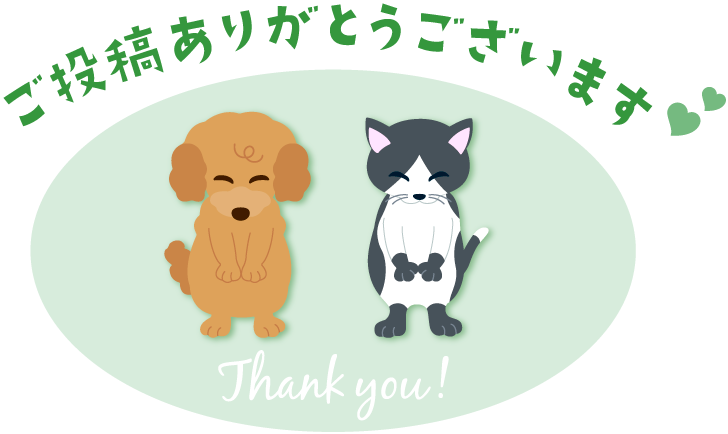 迷子のペット探してます