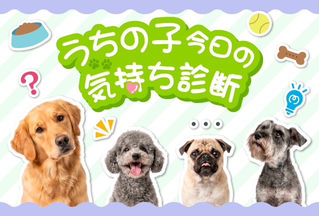 うちの子今日の気持ち診断